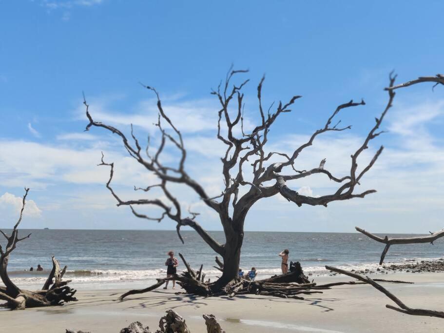 Jekyll Island House/ Kellys On The Coast /King Bed Exterior foto